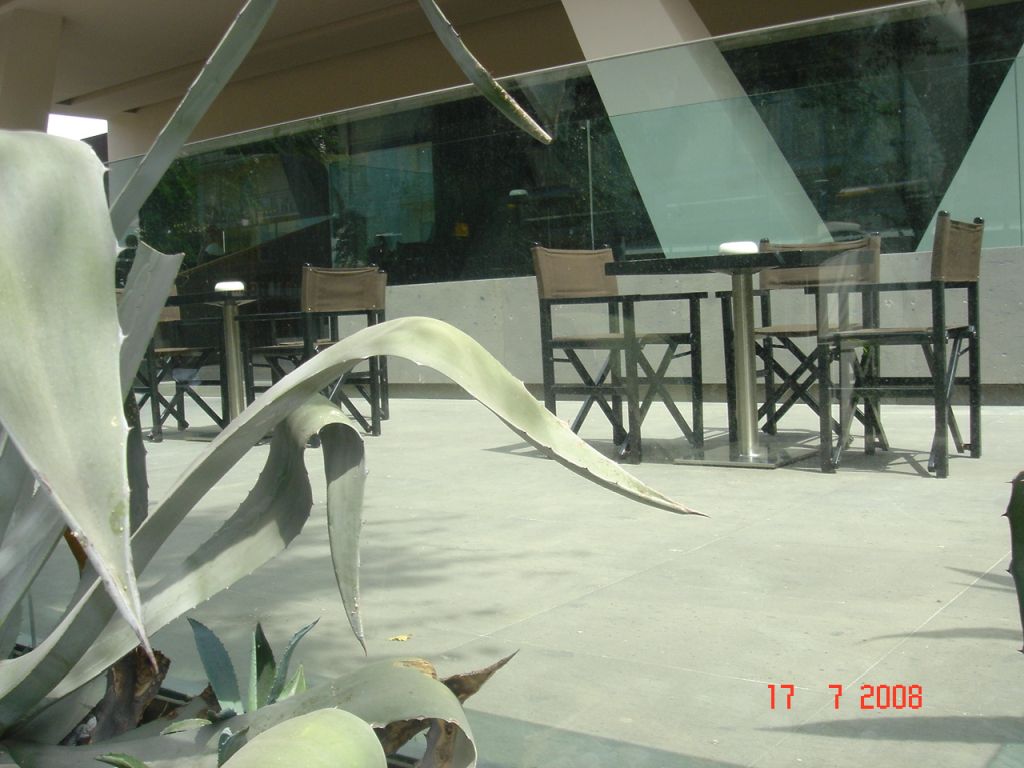 CattolicaHotelVictoriaPalace 104